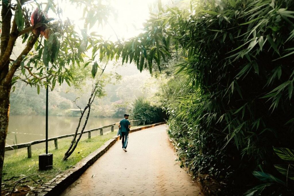 person walking calmly on path showing what it feels like after learning how to find a purpose in life