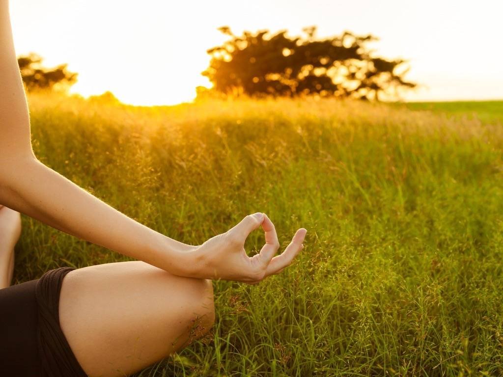 Cultivate mindfulness – close-up of a person’s hand in a meditation pose in a grassy field at sunset