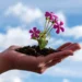 Hand holding a blooming flower symbolizing personal growth and healing