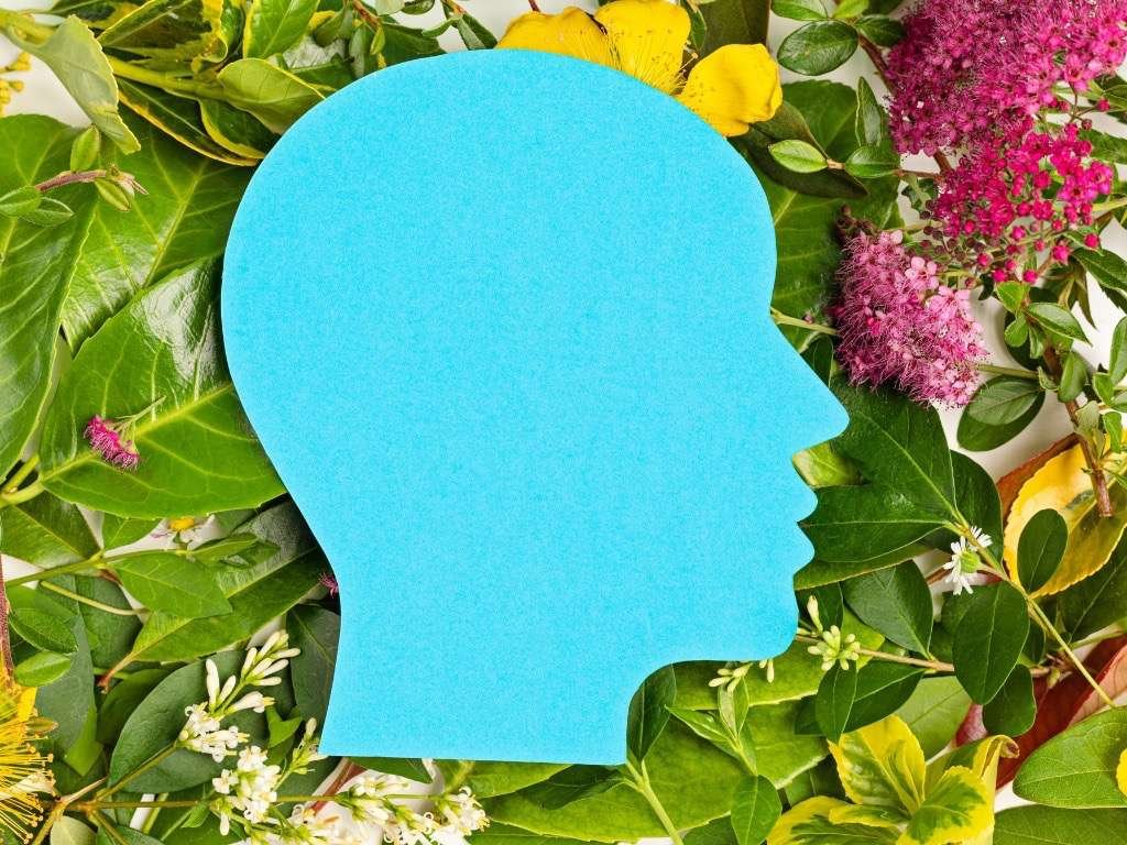 Silhouette of human head with green leaves and flowers representing mental health and wellness